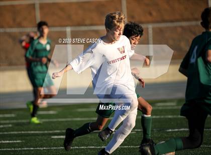 Thumbnail 2 in Whitney @ Ponderosa photogallery.