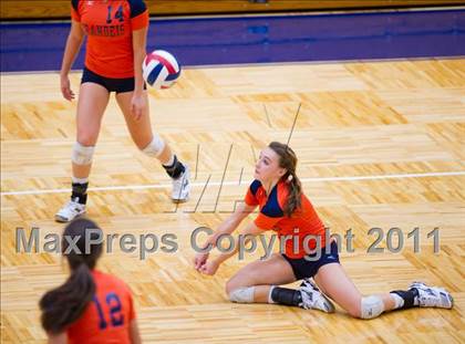 Thumbnail 3 in Marshall @ Brandeis photogallery.