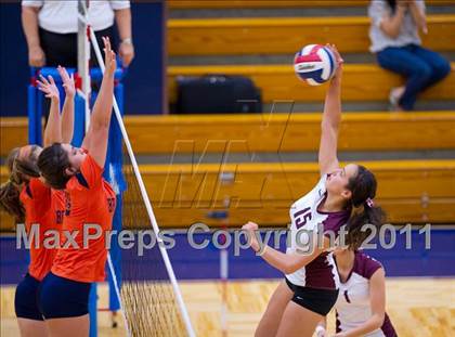 Thumbnail 1 in Marshall @ Brandeis photogallery.