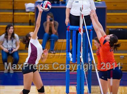 Thumbnail 1 in Marshall @ Brandeis photogallery.