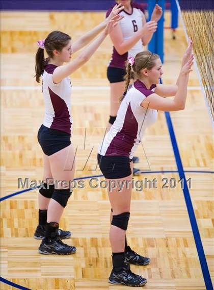 Thumbnail 3 in Marshall @ Brandeis photogallery.