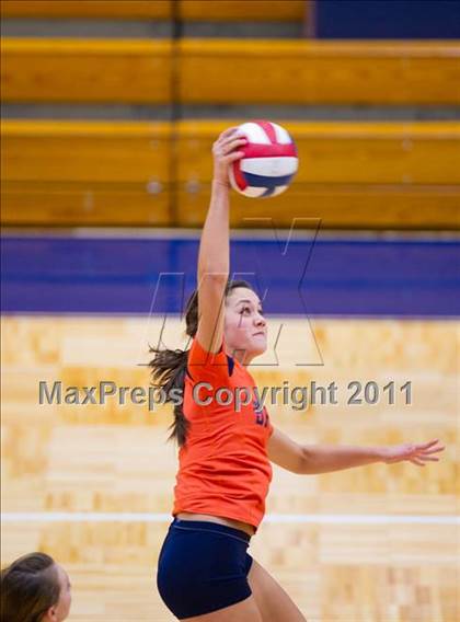 Thumbnail 1 in Marshall @ Brandeis photogallery.