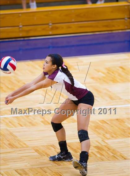 Thumbnail 3 in Marshall @ Brandeis photogallery.