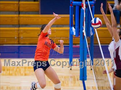 Thumbnail 1 in Marshall @ Brandeis photogallery.