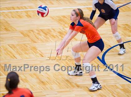 Thumbnail 1 in Marshall @ Brandeis photogallery.