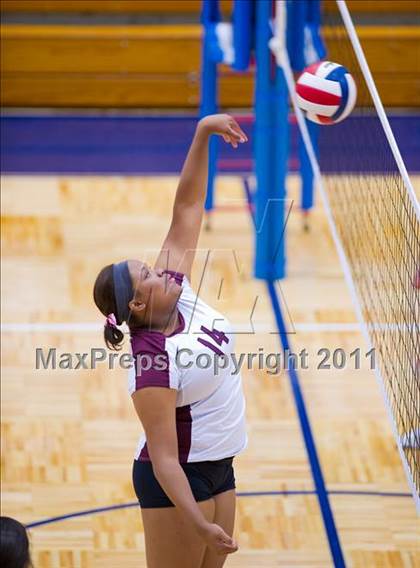 Thumbnail 1 in Marshall @ Brandeis photogallery.