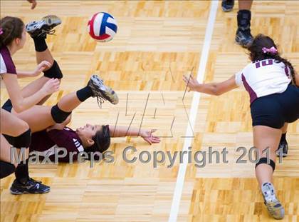 Thumbnail 3 in Marshall @ Brandeis photogallery.