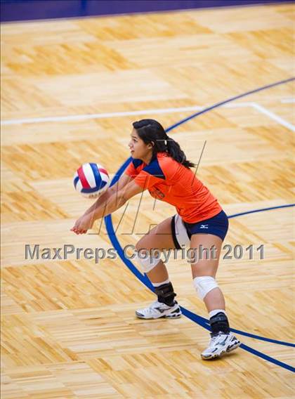 Thumbnail 1 in Marshall @ Brandeis photogallery.