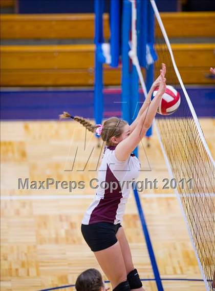 Thumbnail 1 in Marshall @ Brandeis photogallery.