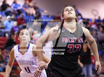 Thumbnail 3 in Palmview @ Edinburg photogallery.