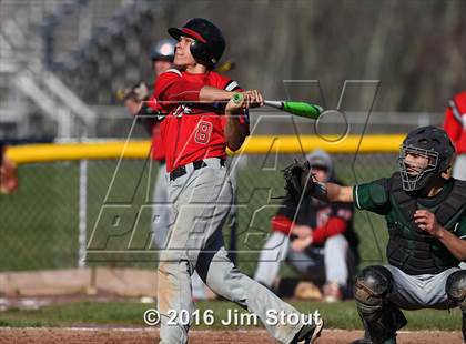 Thumbnail 1 in Fox Lane @ Brewster photogallery.