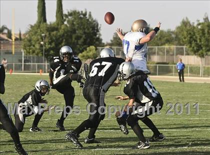 Thumbnail 3 in Fr: Clovis @ Stockdale photogallery.