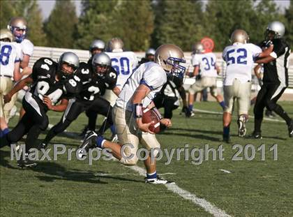 Thumbnail 2 in Fr: Clovis @ Stockdale photogallery.