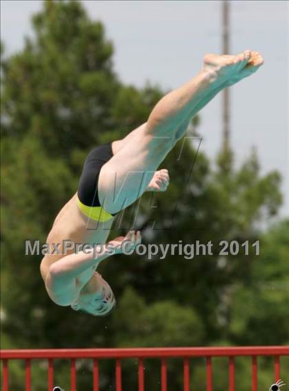 Thumbnail 1 in CIF SJS Boys JV Diving Finals photogallery.