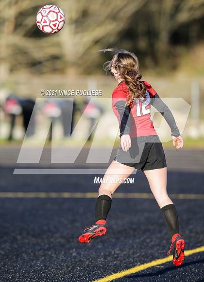 Thumbnail 3 in Castle Rock @ Tenino  (1A District 4 Playoffs) photogallery.