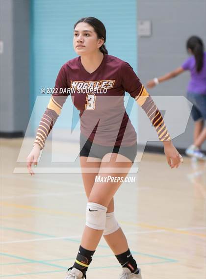 Thumbnail 3 in NFL Yet Academy vs Nogales (Epic Tourneys Volleyball Invite) photogallery.