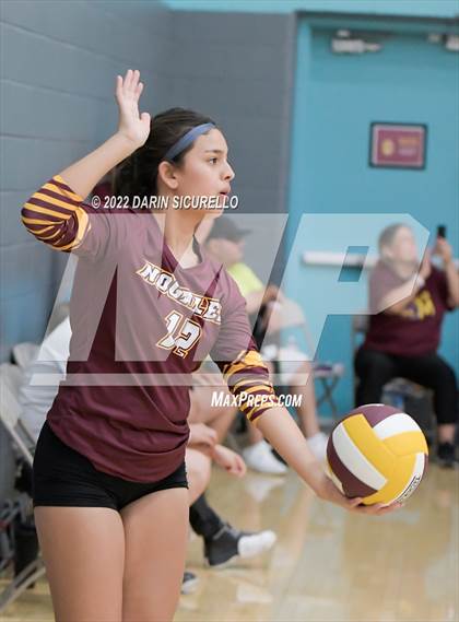 Thumbnail 3 in NFL Yet Academy vs Nogales (Epic Tourneys Volleyball Invite) photogallery.