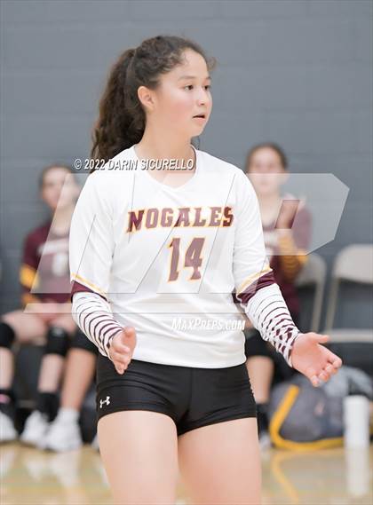 Thumbnail 3 in NFL Yet Academy vs Nogales (Epic Tourneys Volleyball Invite) photogallery.