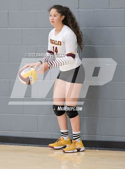 Thumbnail 1 in NFL Yet Academy vs Nogales (Epic Tourneys Volleyball Invite) photogallery.