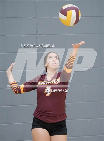 Thumbnail 3 in NFL Yet Academy vs Nogales (Epic Tourneys Volleyball Invite) photogallery.