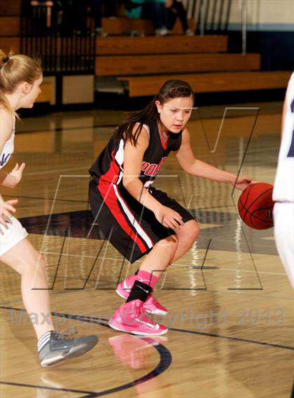 Thumbnail 1 in Pomona @ Ralston Valley photogallery.