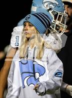 Photo from the gallery "Centreville @ Oakton"