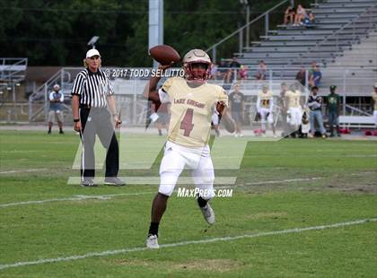 Thumbnail 3 in Manatee @ Lake Gibson (Spring Scrimmage) photogallery.