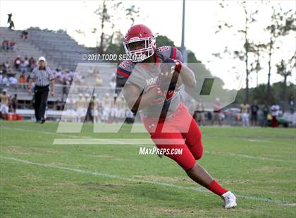 Thumbnail 3 in Manatee @ Lake Gibson (Spring Scrimmage) photogallery.