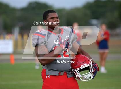 Thumbnail 3 in Manatee @ Lake Gibson (Spring Scrimmage) photogallery.