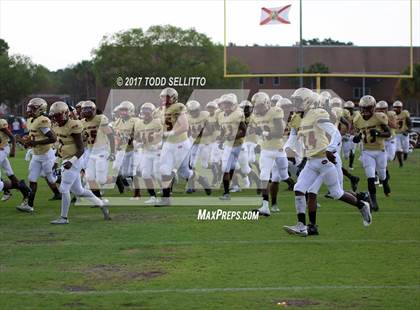 Thumbnail 3 in Manatee @ Lake Gibson (Spring Scrimmage) photogallery.