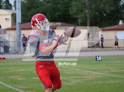 Thumbnail 2 in Manatee @ Lake Gibson (Spring Scrimmage) photogallery.