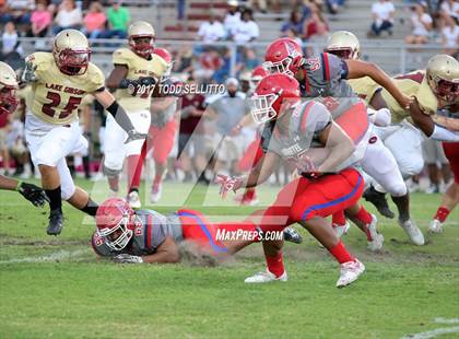 Thumbnail 1 in Manatee @ Lake Gibson (Spring Scrimmage) photogallery.