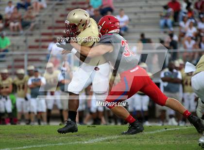 Thumbnail 1 in Manatee @ Lake Gibson (Spring Scrimmage) photogallery.
