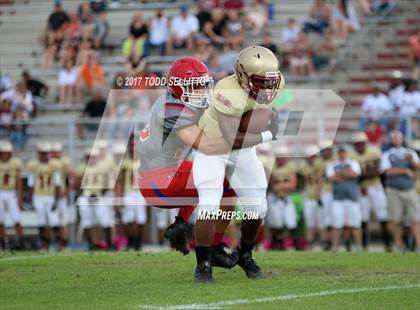Thumbnail 2 in Manatee @ Lake Gibson (Spring Scrimmage) photogallery.