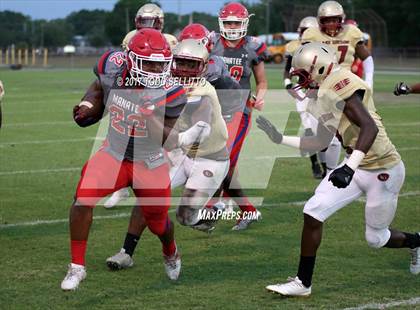 Thumbnail 1 in Manatee @ Lake Gibson (Spring Scrimmage) photogallery.