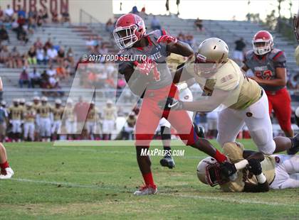 Thumbnail 1 in Manatee @ Lake Gibson (Spring Scrimmage) photogallery.