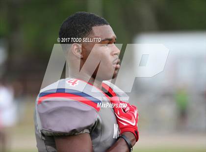 Thumbnail 2 in Manatee @ Lake Gibson (Spring Scrimmage) photogallery.