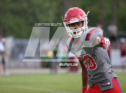 Thumbnail 2 in Manatee @ Lake Gibson (Spring Scrimmage) photogallery.