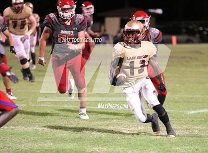 Thumbnail 1 in Manatee @ Lake Gibson (Spring Scrimmage) photogallery.