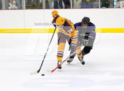 Thumbnail 2 in Chantilly @ Broad Run photogallery.