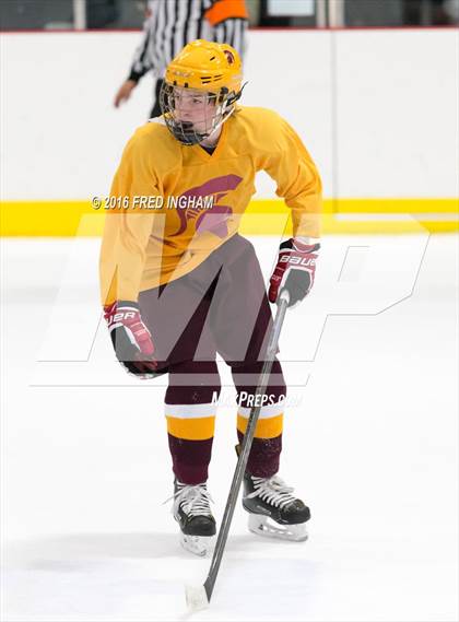 Thumbnail 2 in Chantilly @ Broad Run photogallery.
