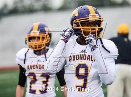 Thumbnail 3 in Avondale @ Farmington photogallery.