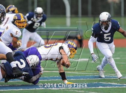 Thumbnail 2 in Avondale @ Farmington photogallery.