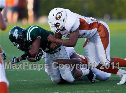 Thumbnail 2 in Alvin @ Pasadena photogallery.