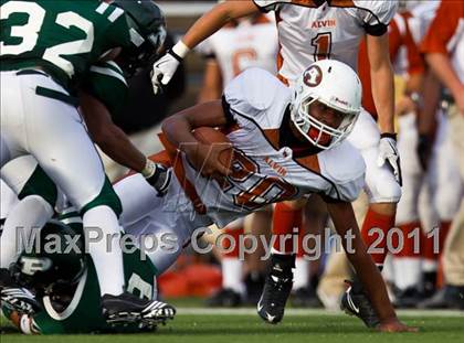 Thumbnail 1 in Alvin @ Pasadena photogallery.