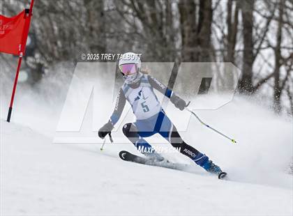 Thumbnail 3 in NYSPHAA Section V Class A&B Giant Slalom Final (Second Run) photogallery.