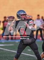 Photo from the gallery "Druid Hills @ Midtown"