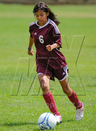 null - Photo 01