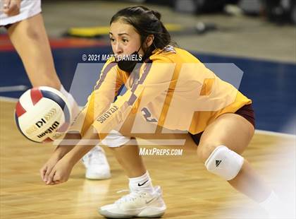Thumbnail 3 in Windsor vs. Mead (CHSAA 4A Semifinal) photogallery.