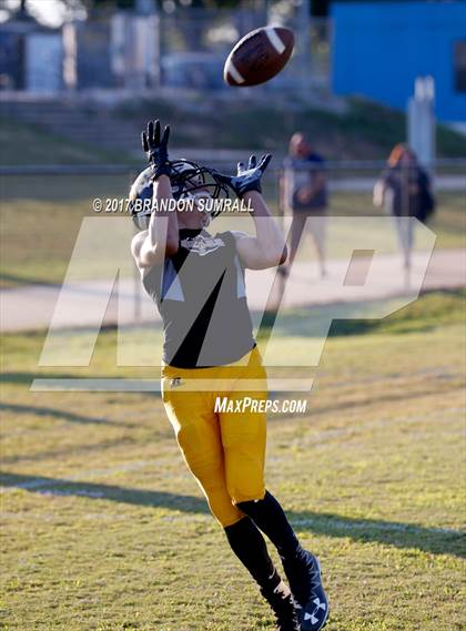 Thumbnail 1 in Jemison @ Billingsley photogallery.